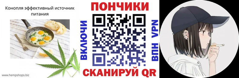 Canna-Cookies конопля  Николаевск 