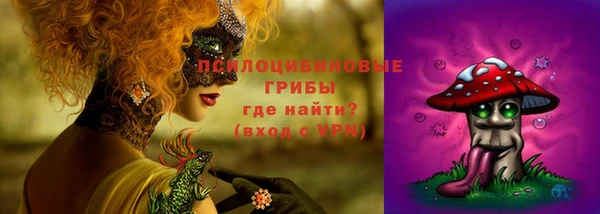 дмт Алзамай