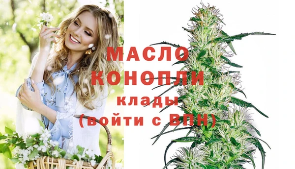 дмт Алзамай