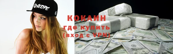 дмт Алзамай