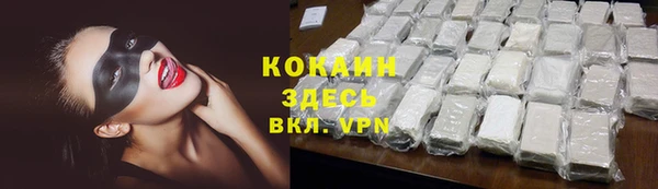 мет Алексин