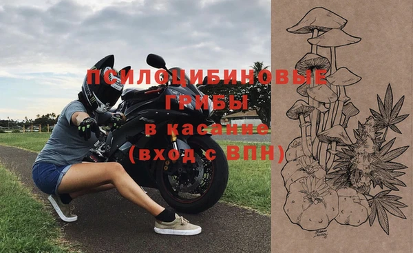 дмт Алзамай
