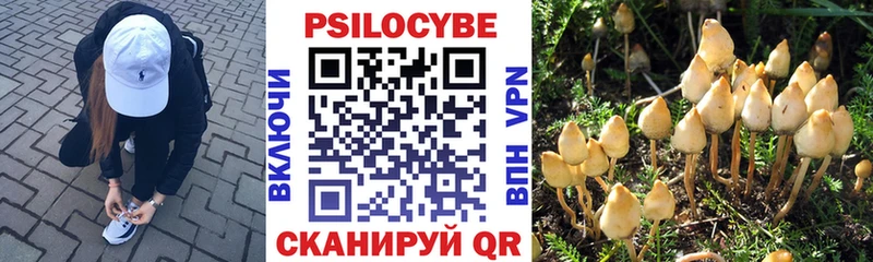 Галлюциногенные грибы MAGIC MUSHROOMS  закладка  Николаевск 