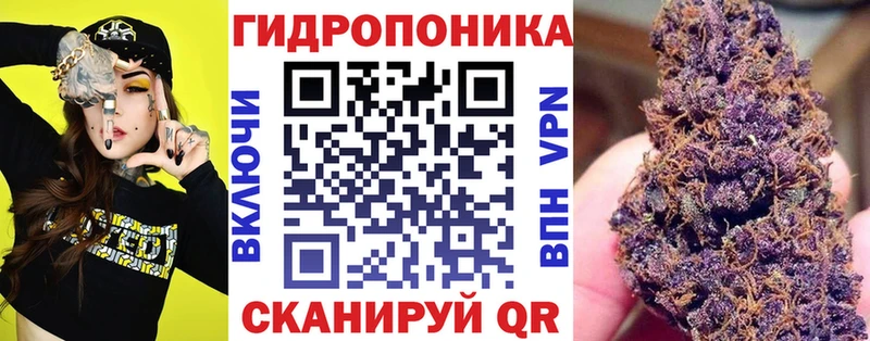 даркнет Telegram  Николаевск  Каннабис ГИДРОПОН 